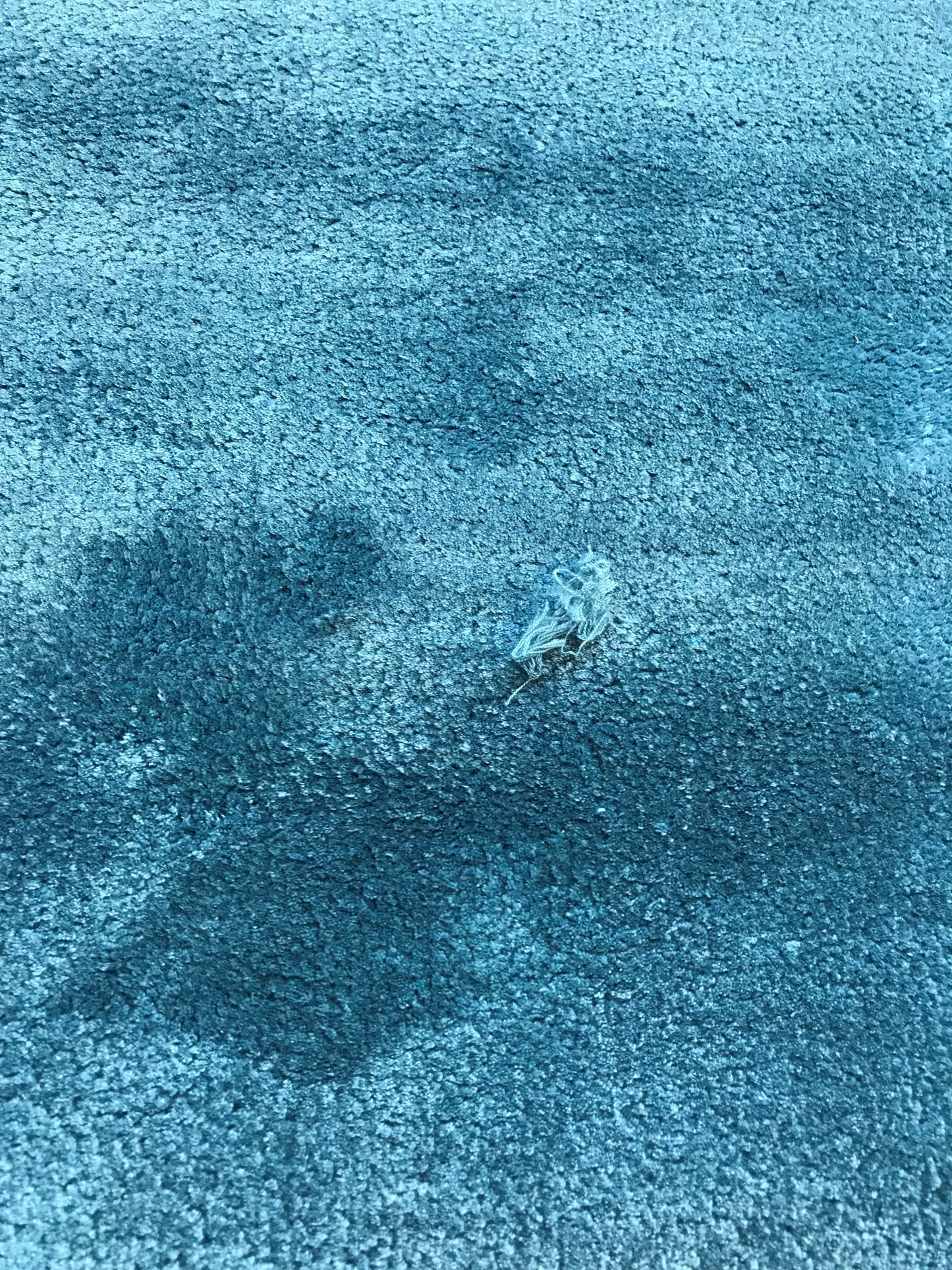 Chelsea Bleu 200x300