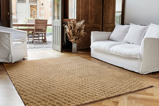 ambiance tapis noué main beige